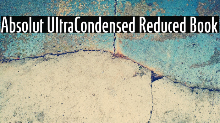 Absolut UltraCondensed Reduced Book Example 3