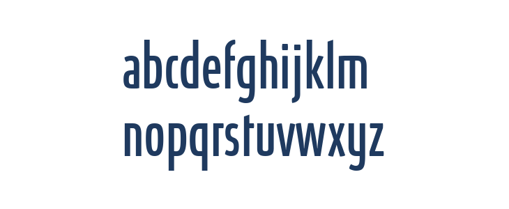 Absolut UltraCondensed Reduced Book Lowercase