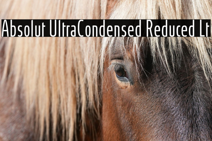 Absolut UltraCondensed Reduced Lt Example 2