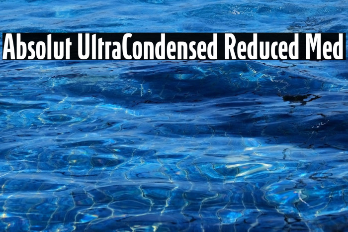 Absolut UltraCondensed Reduced Med Example 1