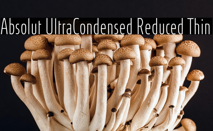 Absolut UltraCondensed Reduced Thin Example 2