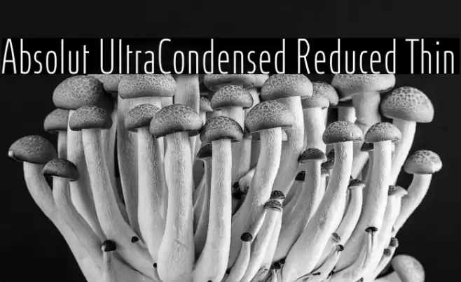 Absolut UltraCondensed Reduced Thin Шрифта examples