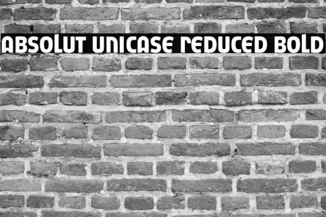 Absolut Unicase Reduced Bold Font examples