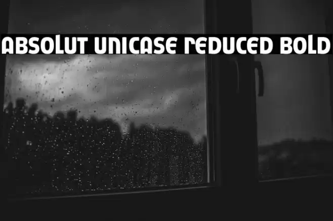 Absolut Unicase Reduced Bold Font examples