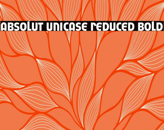 Absolut Unicase Reduced Bold Example 3