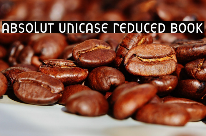 Absolut Unicase Reduced Book Example 2