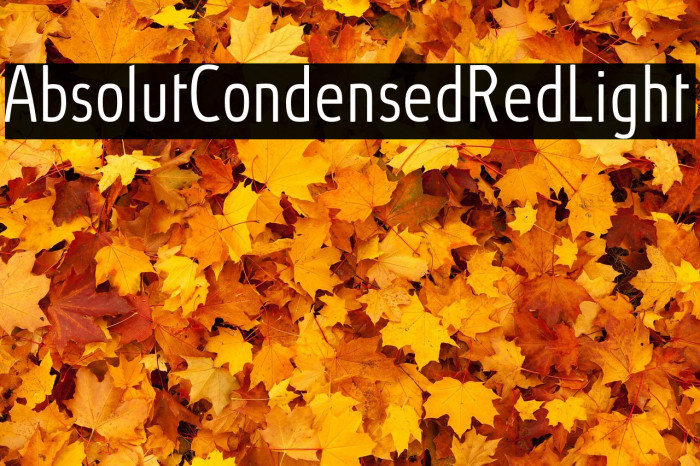 AbsolutCondensedRed-Light Example 2