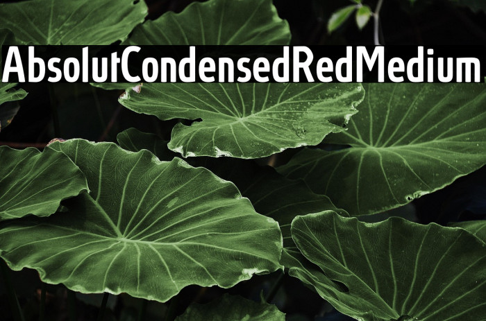 AbsolutCondensedRed-Medium Example 2