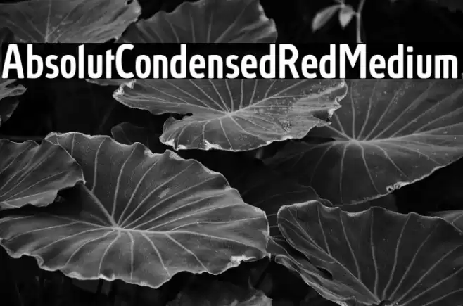 AbsolutCondensedRed-Medium Font examples