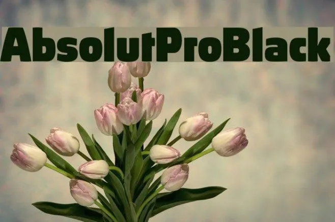 AbsolutPro-Black Example 1