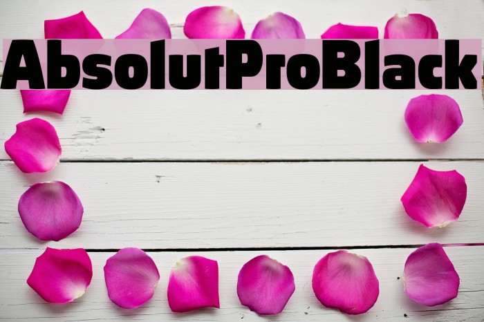 AbsolutPro-Black Font examples