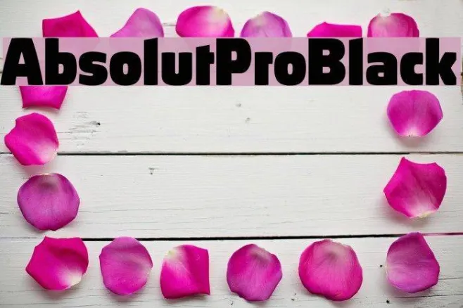 AbsolutPro-Black Example 2