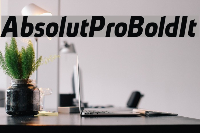 AbsolutPro-BoldIt フォント examples
