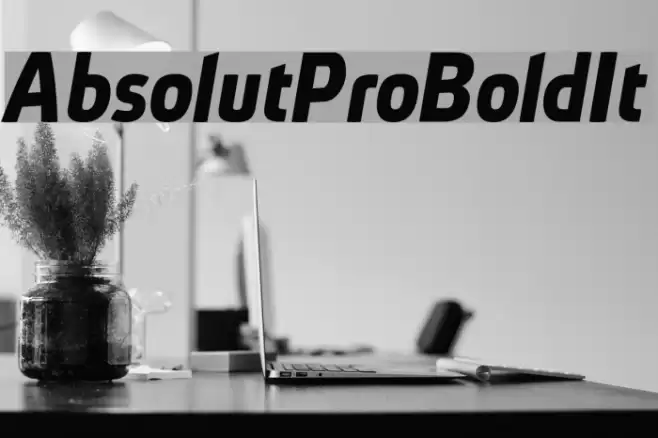 AbsolutPro-BoldIt フォント examples