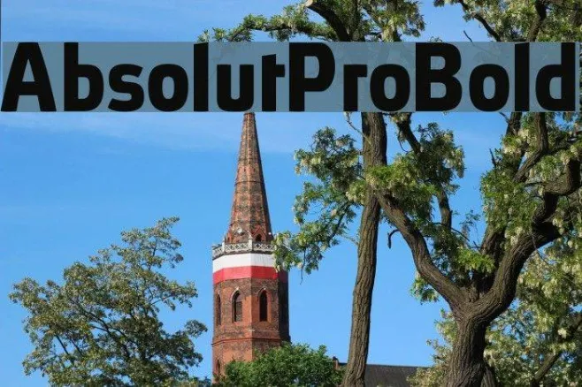 AbsolutPro-Bold Example 1