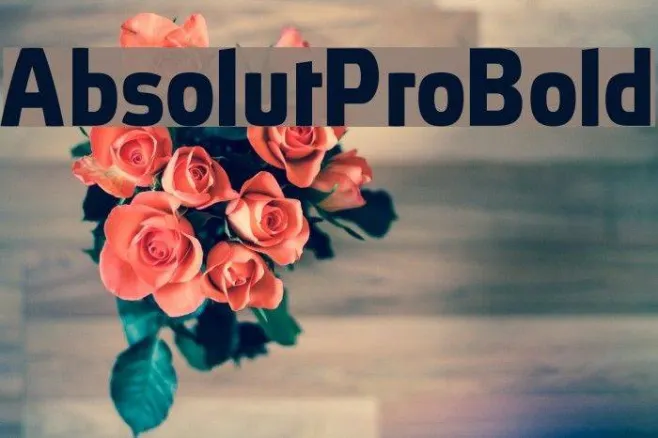 AbsolutPro-Bold Example 2