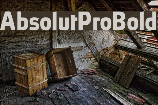 AbsolutPro-Bold Example 3