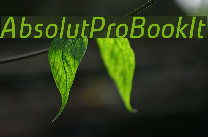 AbsolutPro-BookIt Font examples