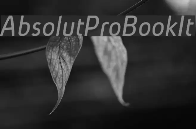 AbsolutPro-BookIt Fuentes examples