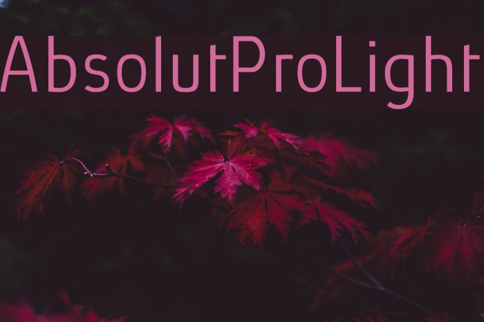 AbsolutPro-Light Font examples