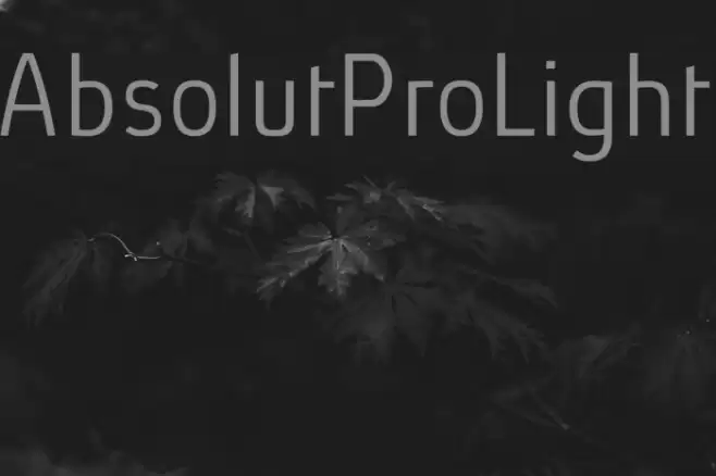 AbsolutPro-Light Font examples