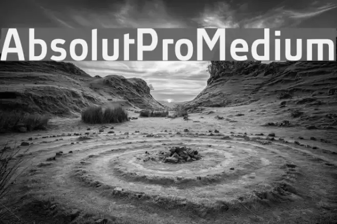 AbsolutPro-Medium Font examples