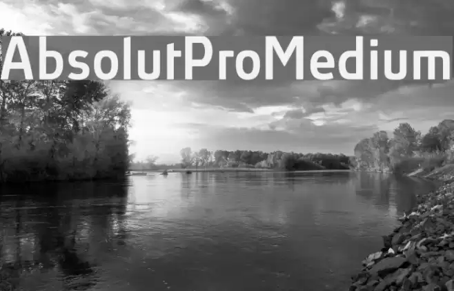 AbsolutPro-Medium Font examples