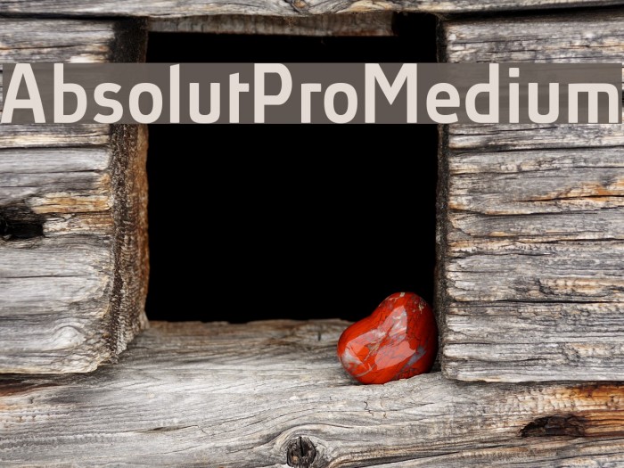 AbsolutPro-Medium Font examples