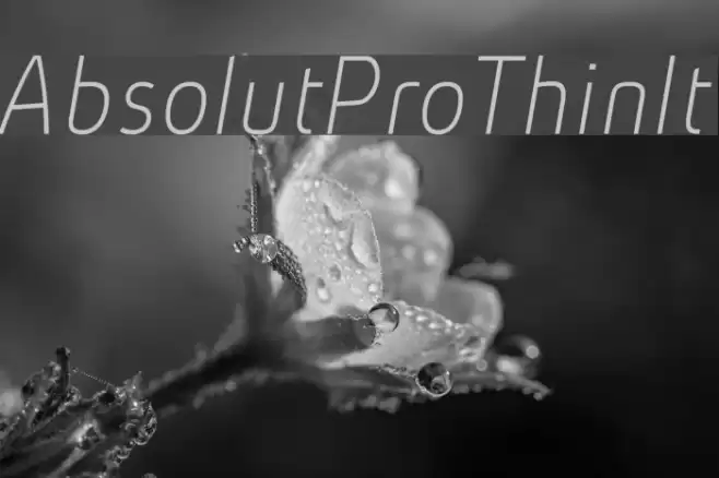 AbsolutPro-ThinIt Font examples
