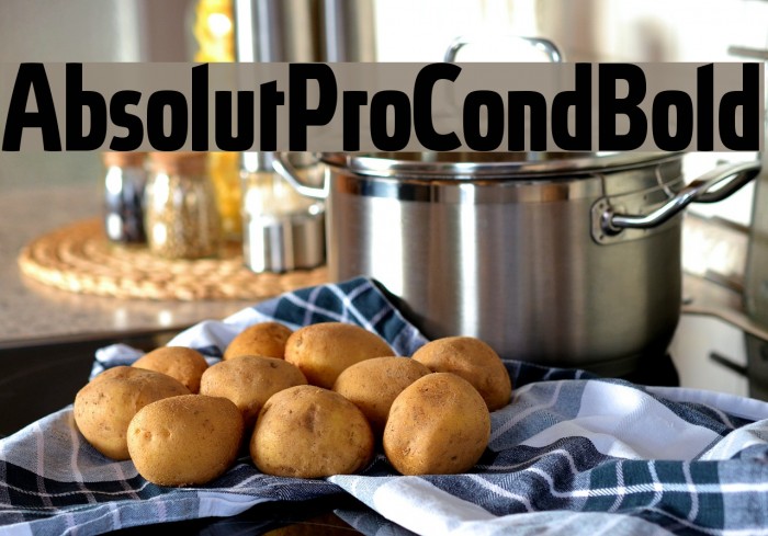 AbsolutProCond-Bold Font examples