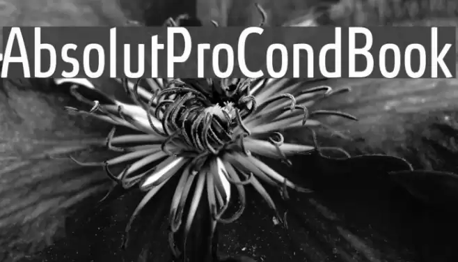 AbsolutProCond-Book Font examples