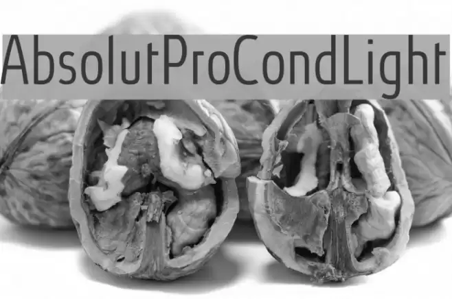 AbsolutProCond-Light Font examples