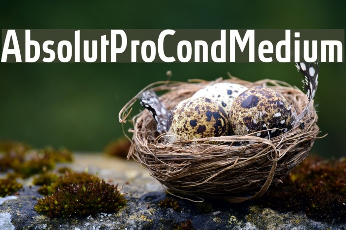 AbsolutProCond-Medium Font examples