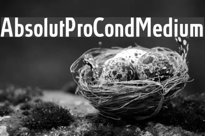 AbsolutProCond-Medium Font examples