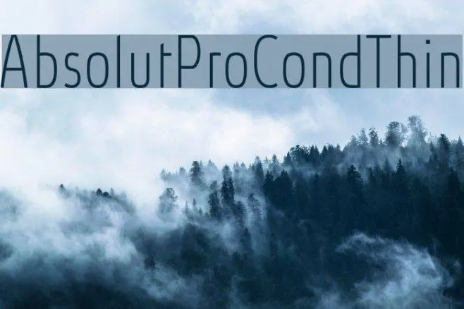 AbsolutProCond-Thin Example 2