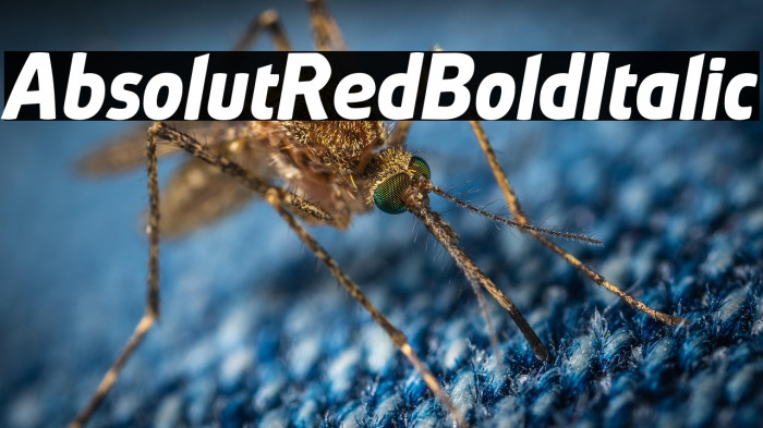 AbsolutRed-BoldItalic Example 1