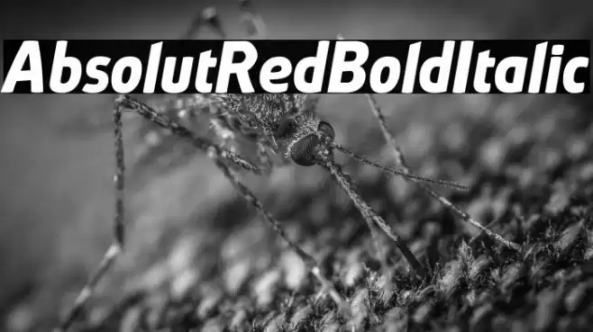 AbsolutRed-BoldItalic Font examples