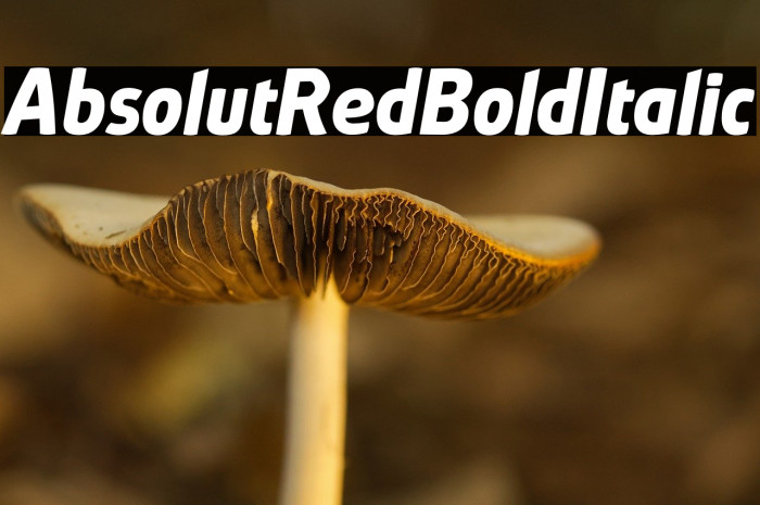 AbsolutRed-BoldItalic Example 2