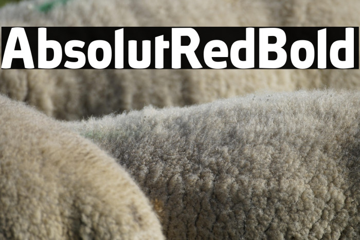 AbsolutRed-Bold Example 1