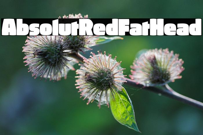 AbsolutRed-FatHead Example 2