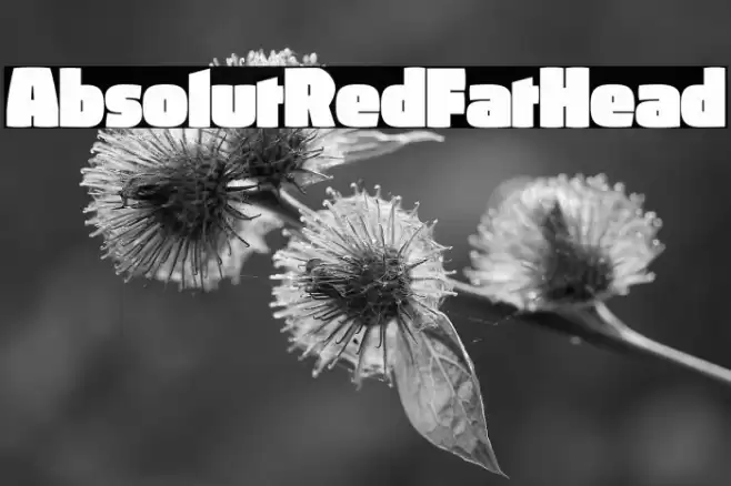 AbsolutRed-FatHead Font examples