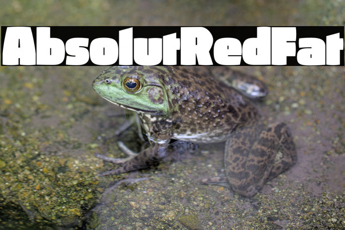 AbsolutRed-Fat Example 3