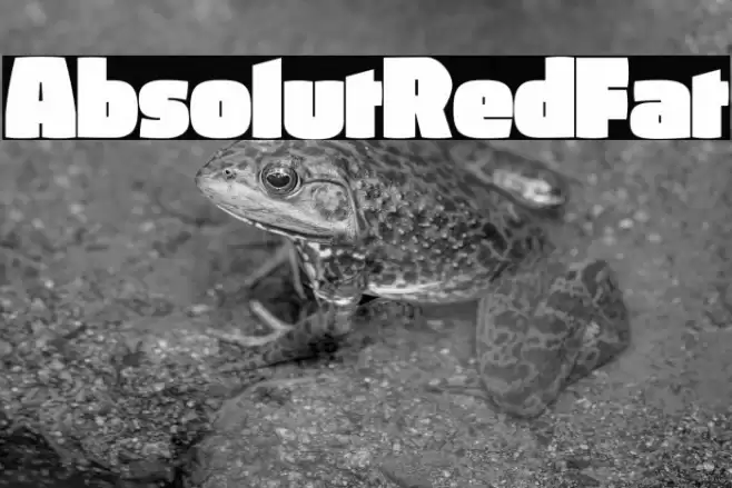 AbsolutRed-Fat Font examples