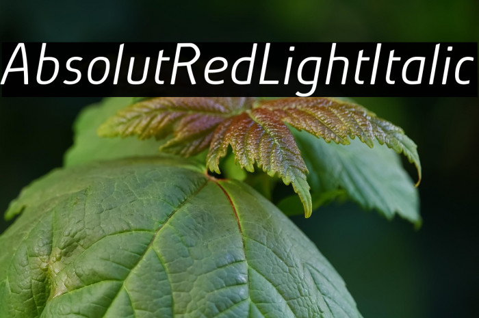 AbsolutRed-LightItalic Example 3