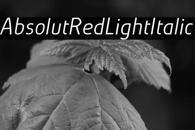 AbsolutRed-LightItalic Font examples