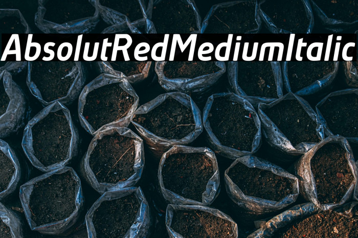 AbsolutRed-MediumItalic Example 1