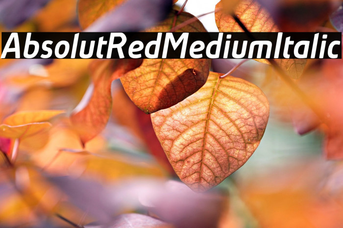 AbsolutRed-MediumItalic Example 3