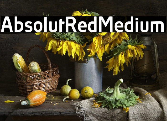 AbsolutRed-Medium Example 1