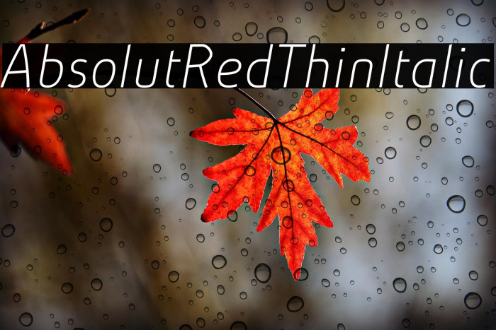 AbsolutRed-ThinItalic Example 2