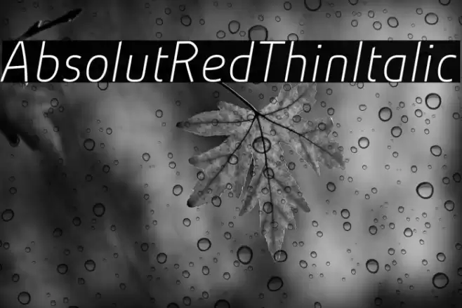AbsolutRed-ThinItalic Font examples